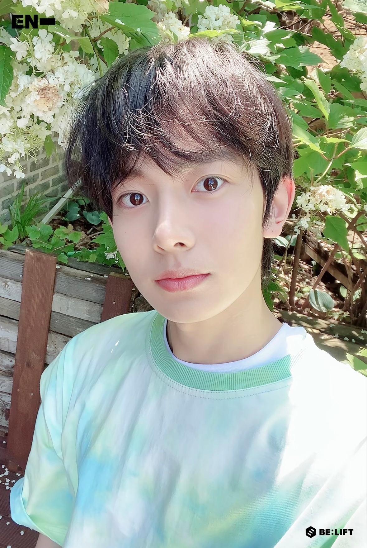 李羲承  “墙角开了一朵小花。” 