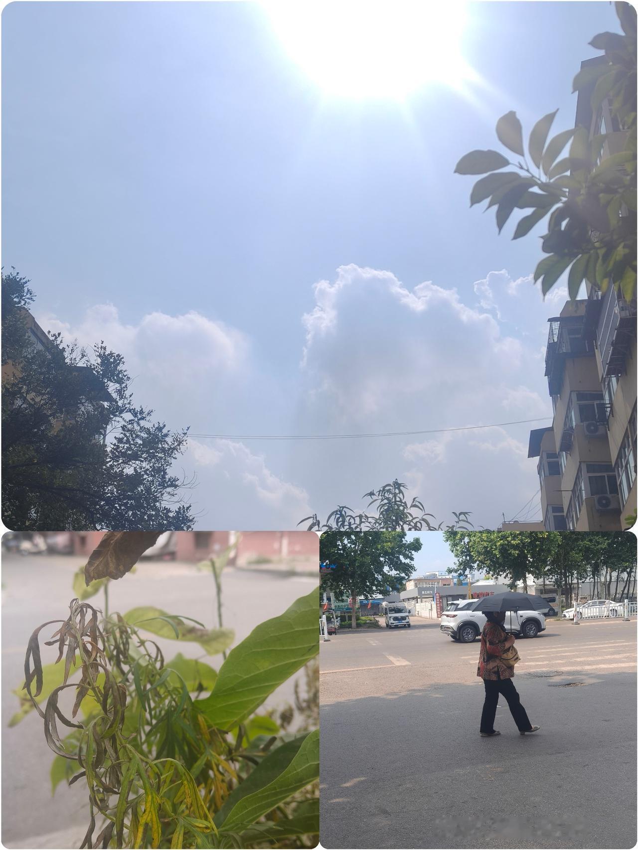 三伏天，
就要到了，
请记住这3件小事，让家人少遭罪——

天气是一天比一天热了