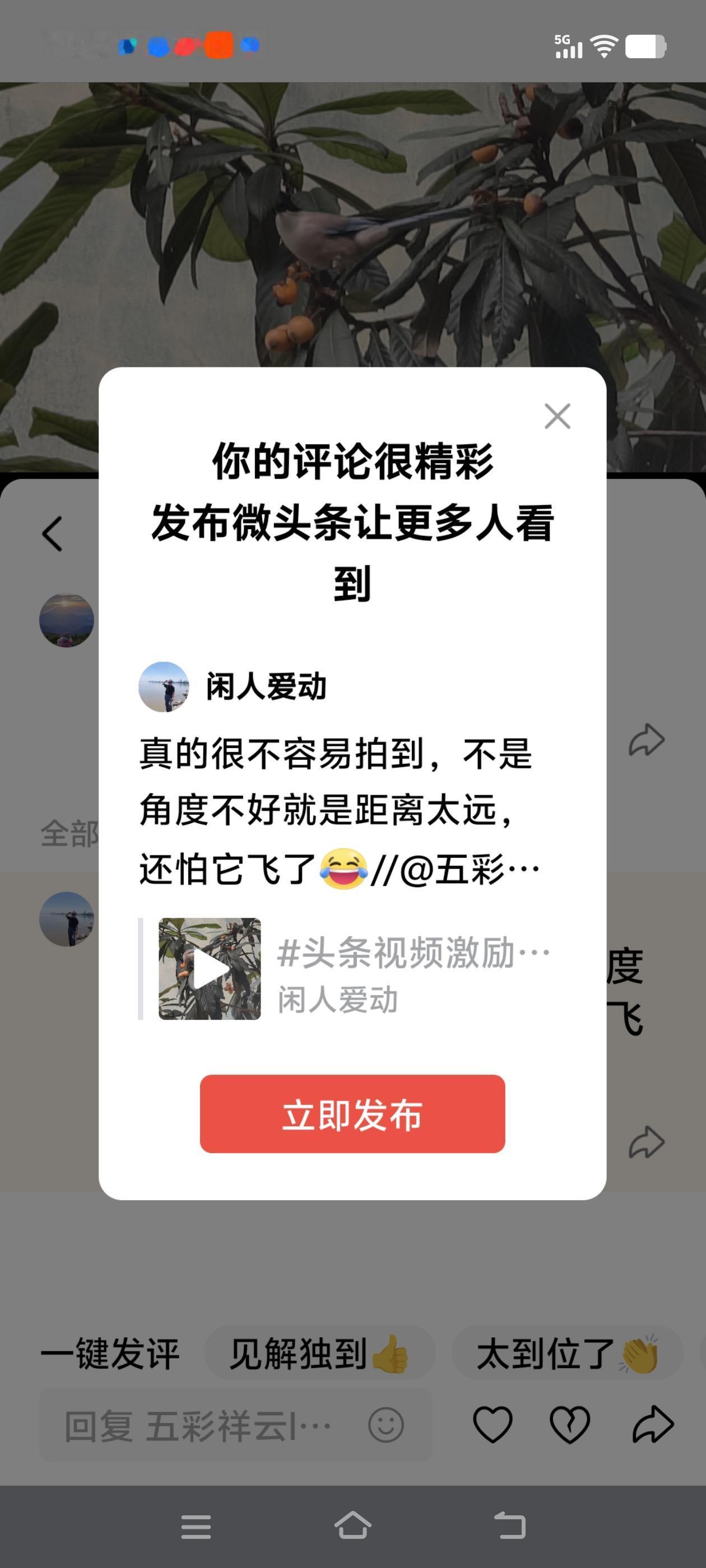 真的很不容易拍到，不是角度不好就是距离太远，还怕它飞了[笑哭]//@五彩祥云ly