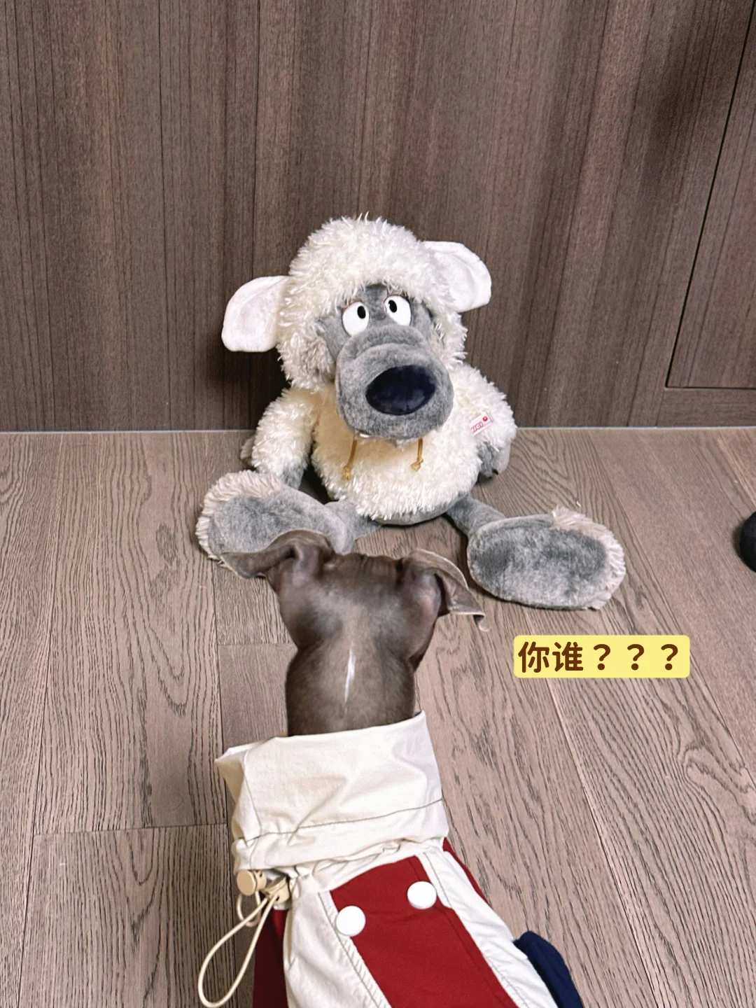 狼扒拉 你很有名