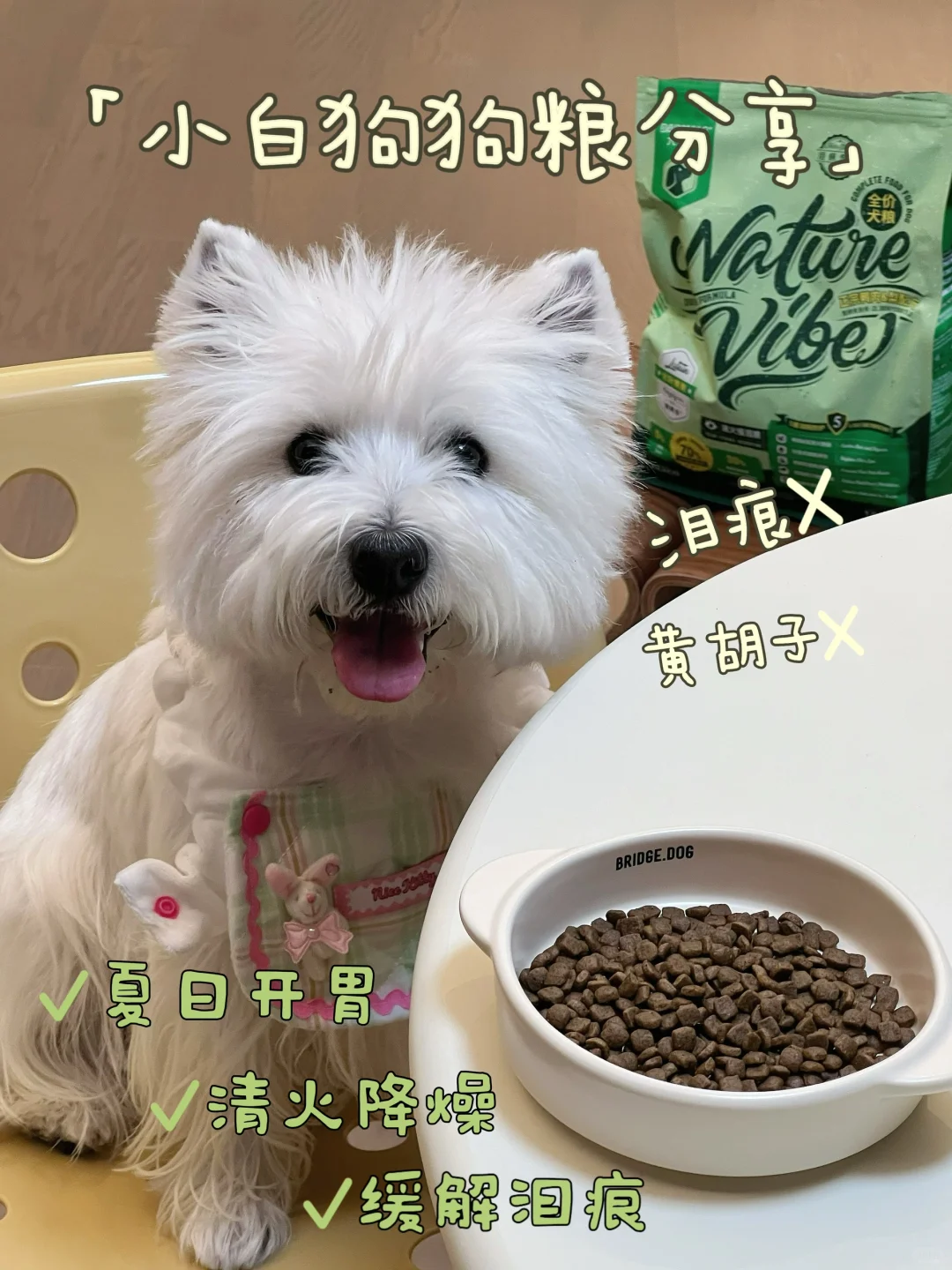 小白狗泪痕养护｜狗粮分享