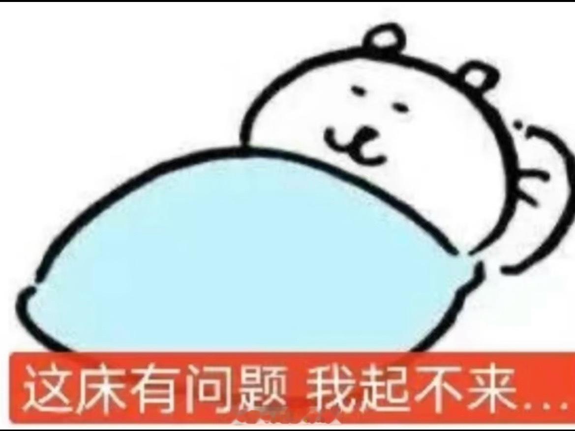 猫的树太会拍了你可以永远相信猫的树！审美真的超级绝！大家今天也都辛苦啦 早点休息