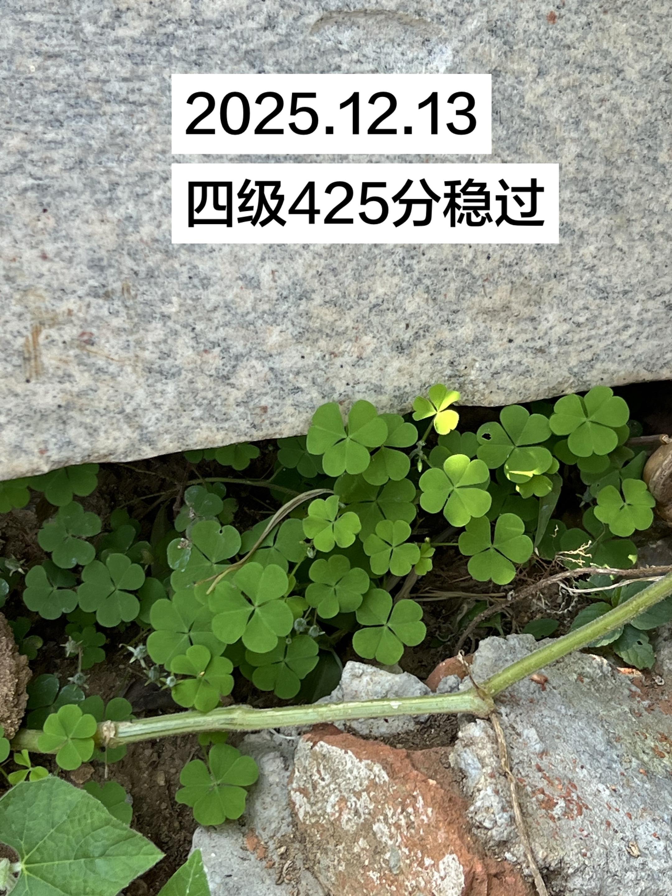 12月的第一天 许下的愿望都可以实现。