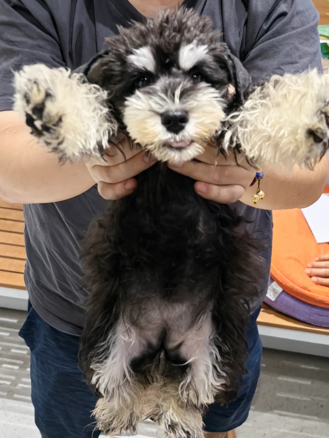 误入套路宠物大卖场~大家千万保持警惕