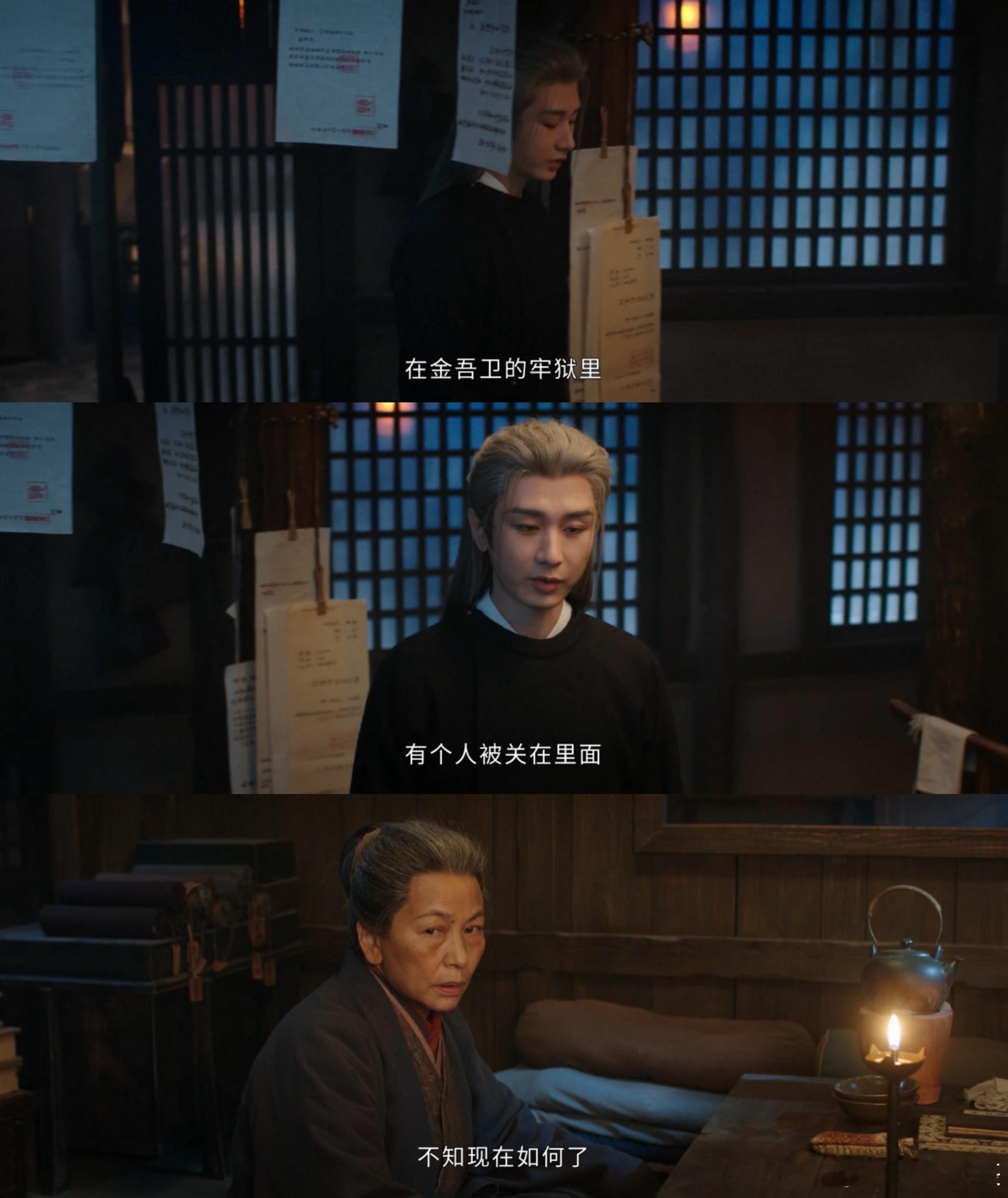 谢淮安染白发白头染霜锋更利，暗桩蛰伏破危局。谢淮安算尽生死棋，顾玉入瓮亦在局中，