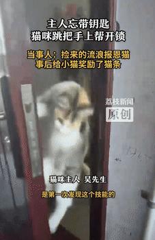 “真成精了？”9月10日重庆一男子回家忘记带钥匙，便试着叫了下屋里的猫咪，让它帮