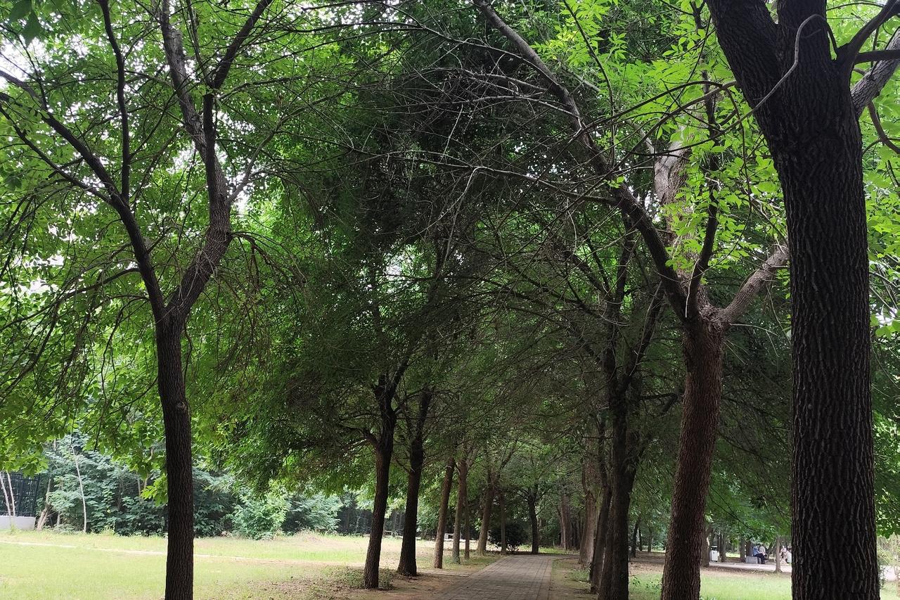 孩子满18岁了，我以会计做账的逻辑，决然放手
做了多年会计，我深谙一句话：账目需