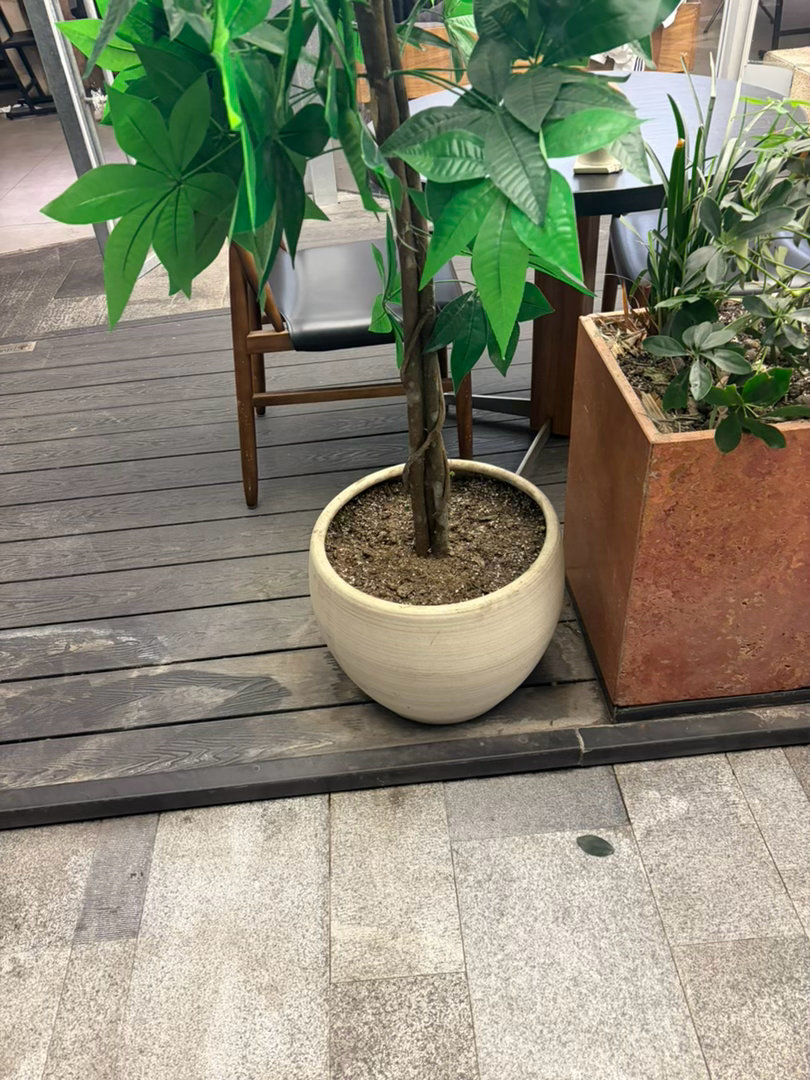 失踪人口回归！这阵子真是给我忙晕了 又要工作又要装修的昨天出去吃饭看上了几个花瓶