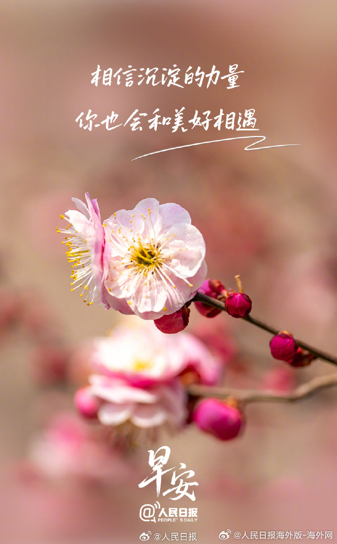 #向海外朋友问好#  【相信沉淀的力量，你也会和美好相遇】每一份默默的坚持都在积