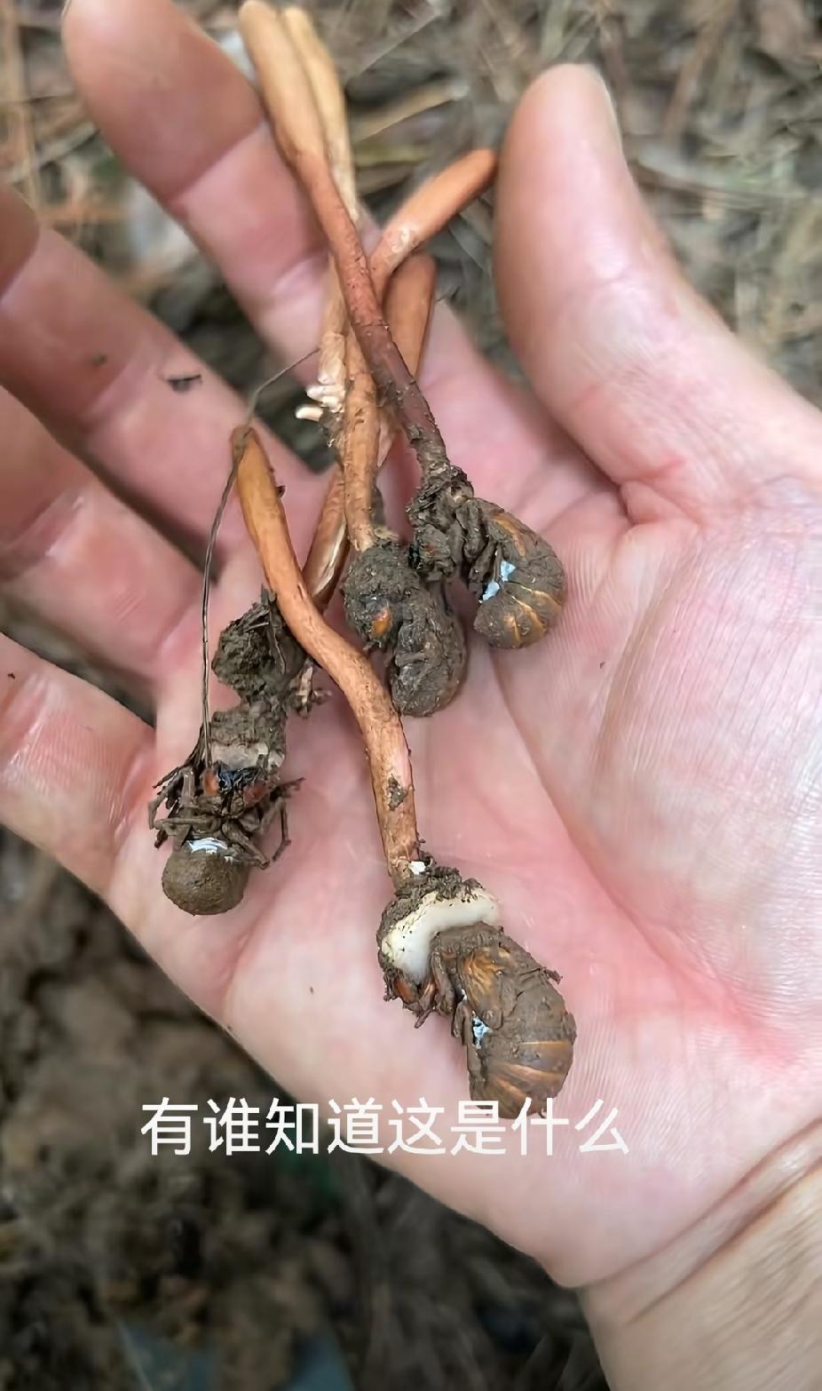 你无聊的时候
都做过什么无聊的事？
今天接了个电话，
问我贷款不，
我说贷
他问