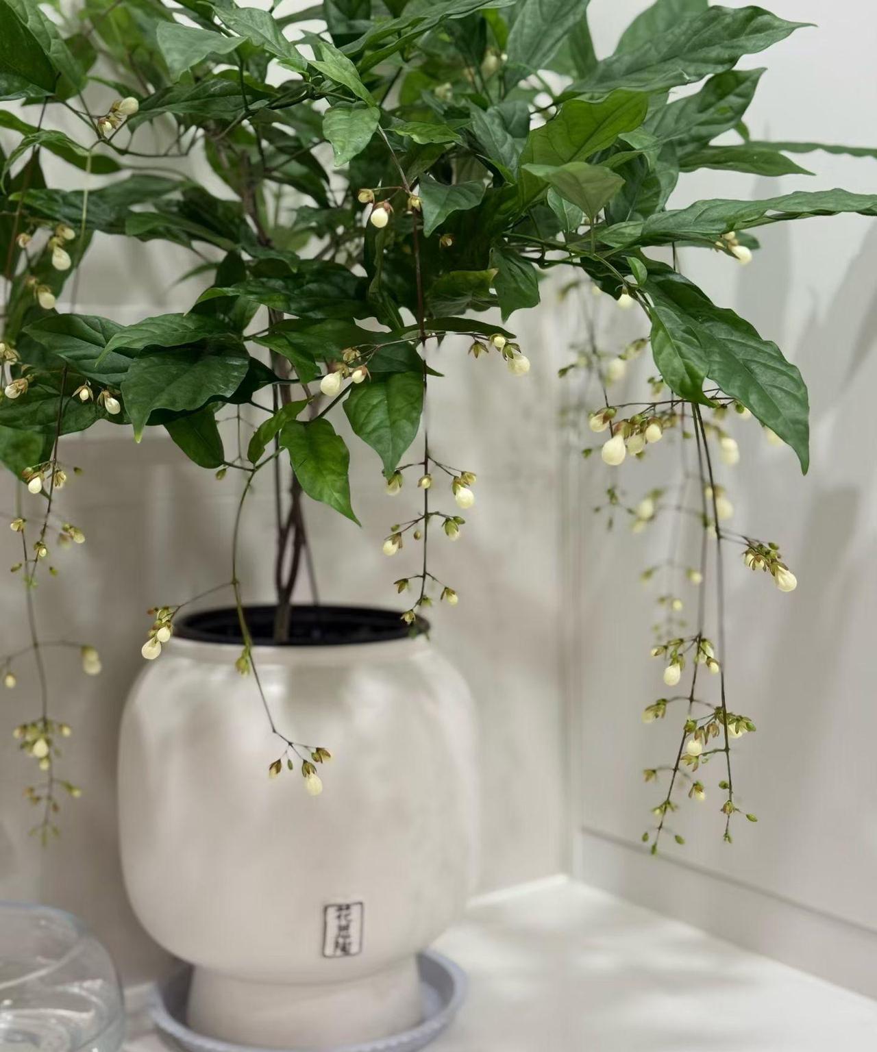 饭卡也有故事！
想问问大家，有没有遇到过类似的情况？
故事是这样的。去世的公公曾