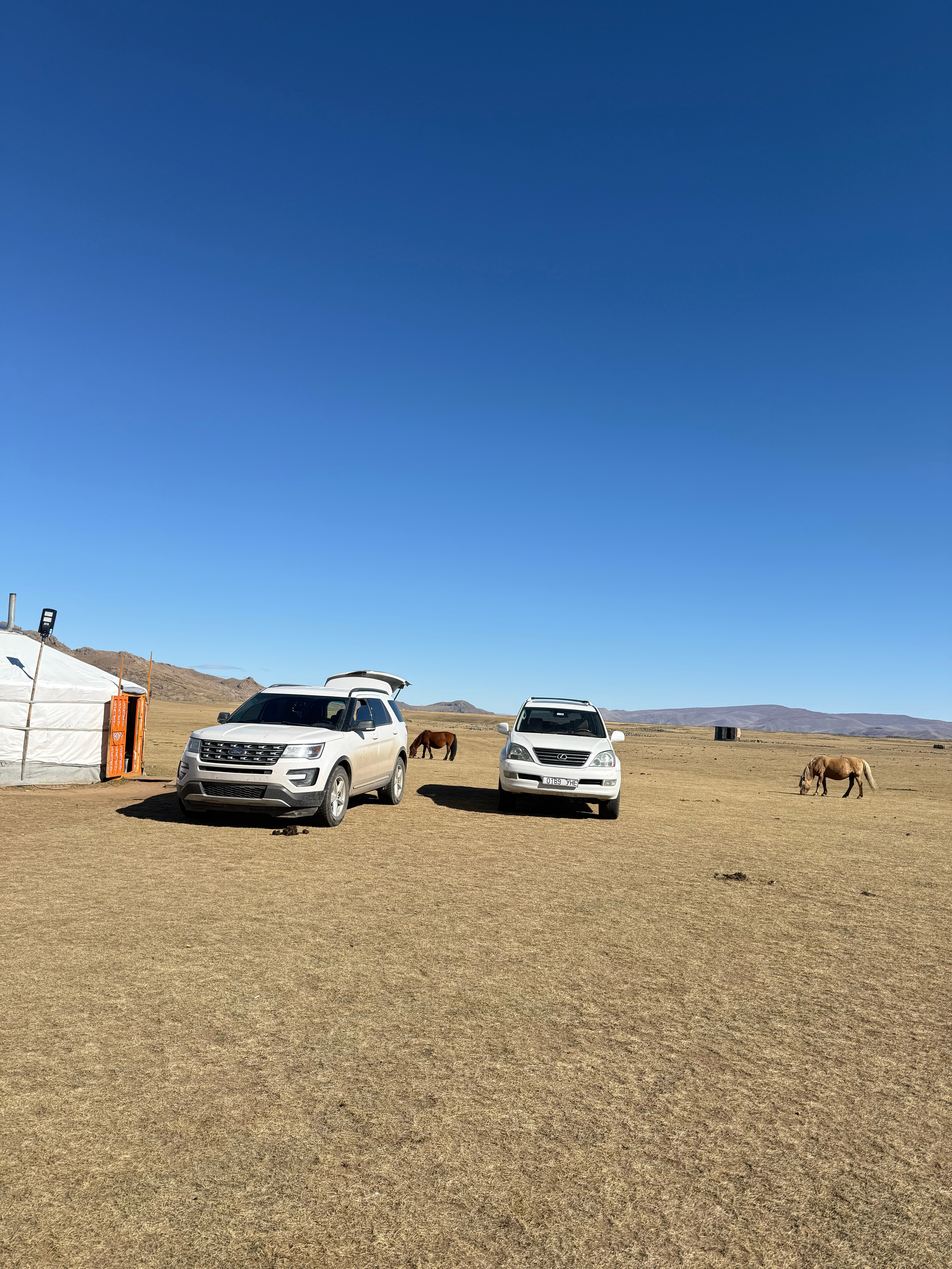 大自然的疗愈  ​​​