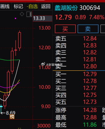 蠡湖股份这波加速上涨力度很足，还没收盘，盘中最高冲到 12.88 元就开始回落，
