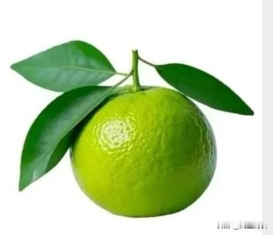 成年人最好的生活状态，是自带松弛与清醒。
不必刻意辩解，无需刻意迎合，更不必纠缠