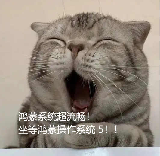 鸿蒙5机型名单用过鸿蒙版应用后就回不去了[笑cry]像语音订票，动动嘴就能搞定，