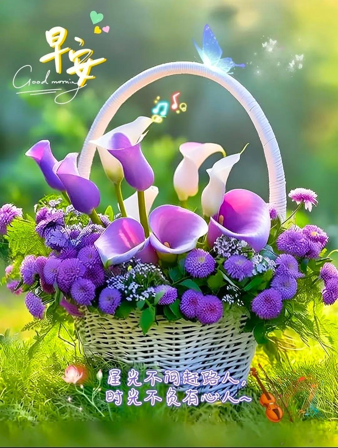 晨光温柔，秋风清爽微风带走昨日的疲惫，阳光照亮今日的心情。新的一天，愿欢喜常在，