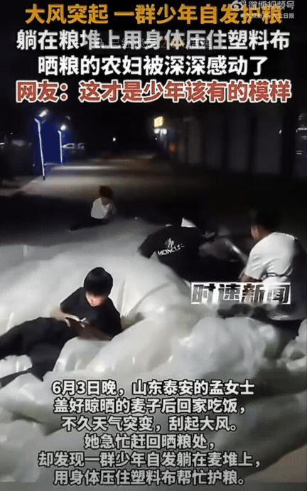 这才是少年最好的模样！山东泰安，一女生将晒完的小麦盖好塑料布后就回家吃饭了，刚走