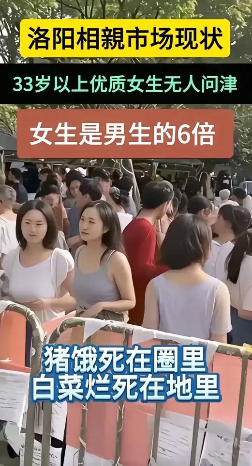 我就想问问
三十三岁了还没嫁人
优质在什么地方呢？[黑线]
