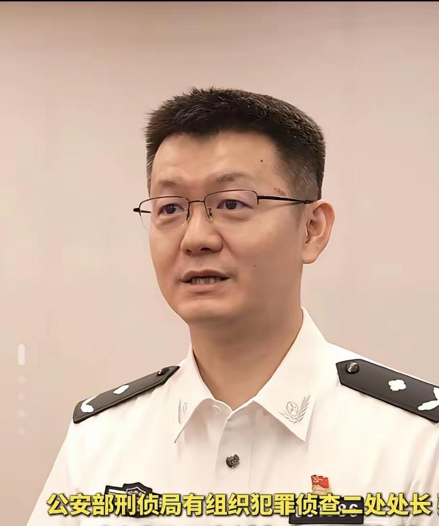 8200多人一夜落网！这哪是抓罪犯，这是把藏在地下的雷一锅端了！

8月10日，