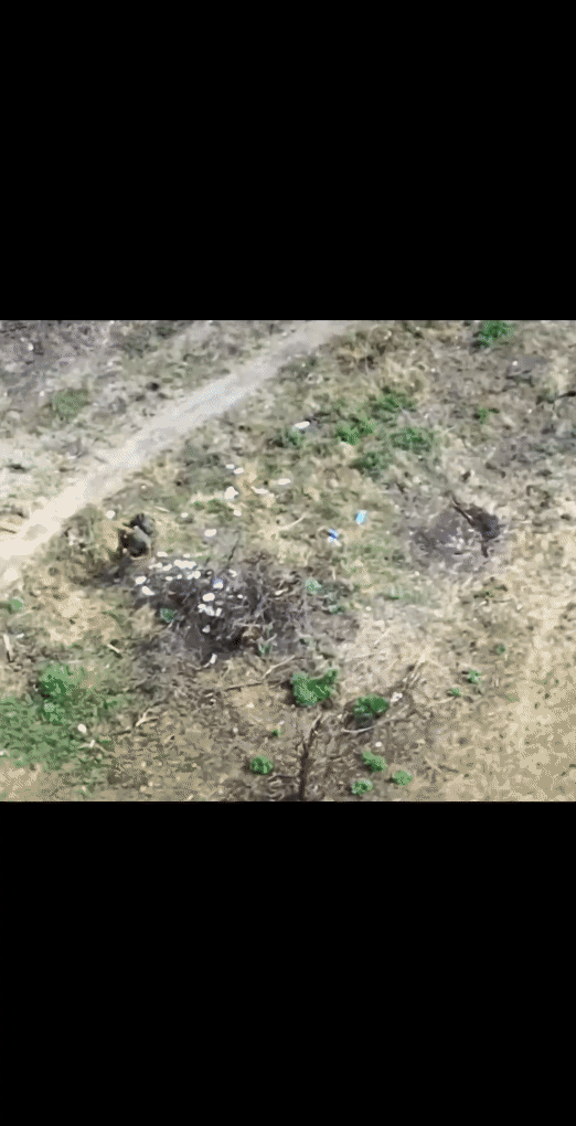 费尽心思培养的特种兵面对一只无人机就只能等死吗？[泪奔]