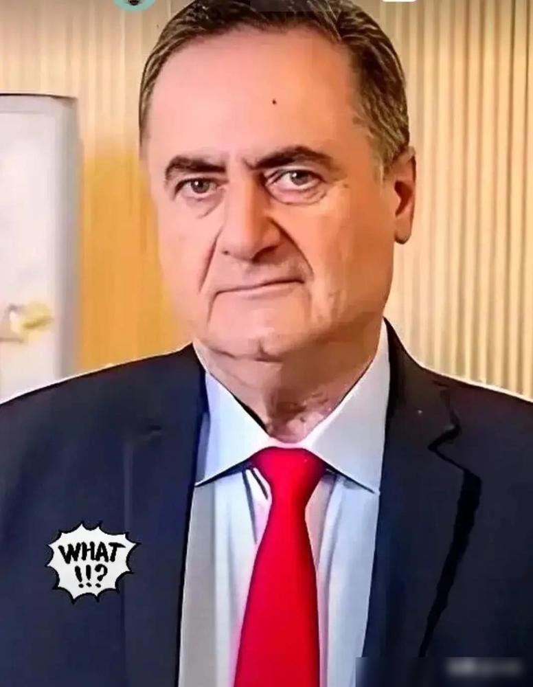 以色列国防部传来消息！

4月28日以方这表态真的够冲的，当着联合国官员的面直接