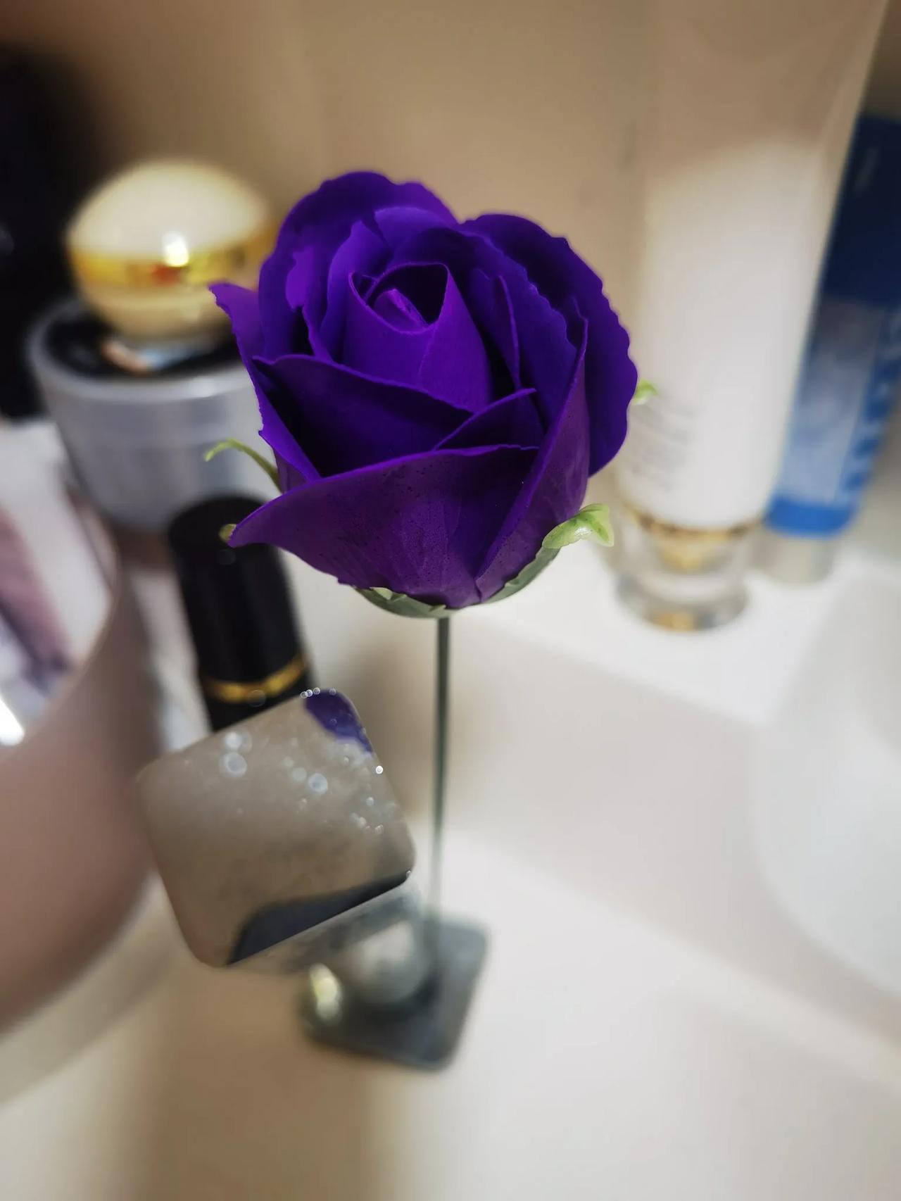 似乎还未曾谋面，春已过半了。不过无论如何，季节的热情谁也挡不住，不定哪天就一夜花