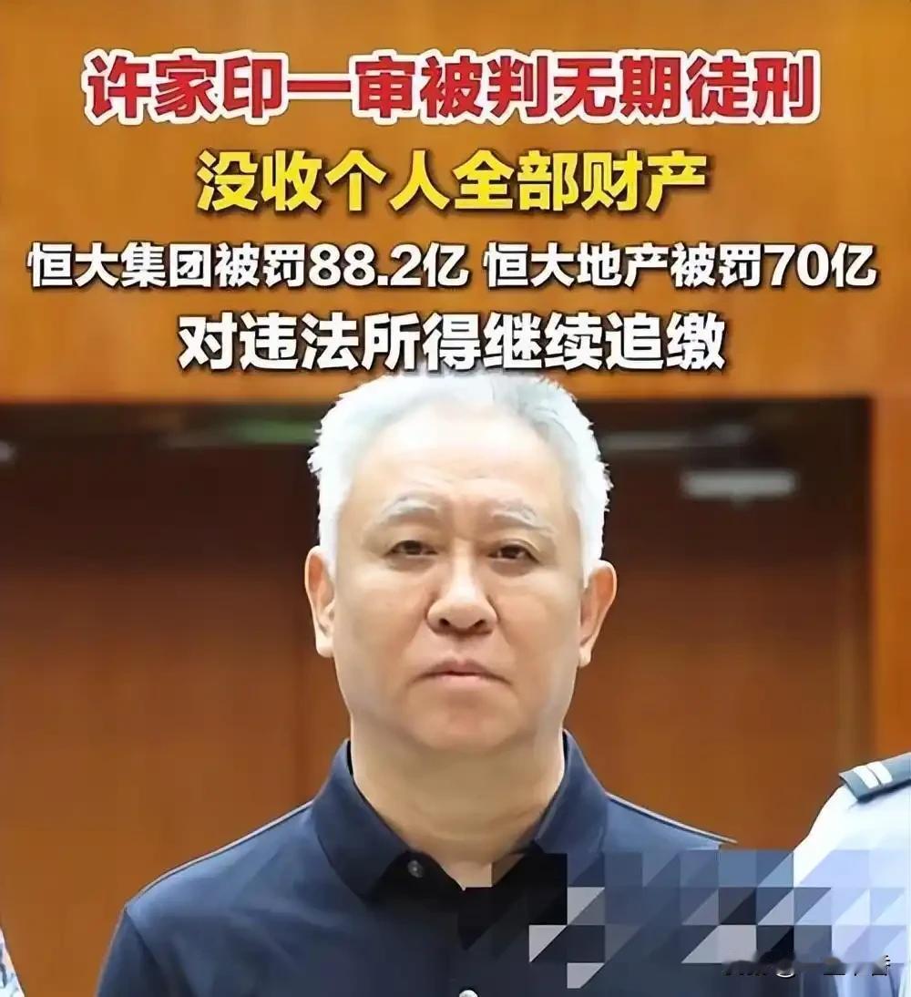 综合案件事实和法律规定来看，本次判决量刑准确，罚当其罪。
 
许家印一人触犯八项
