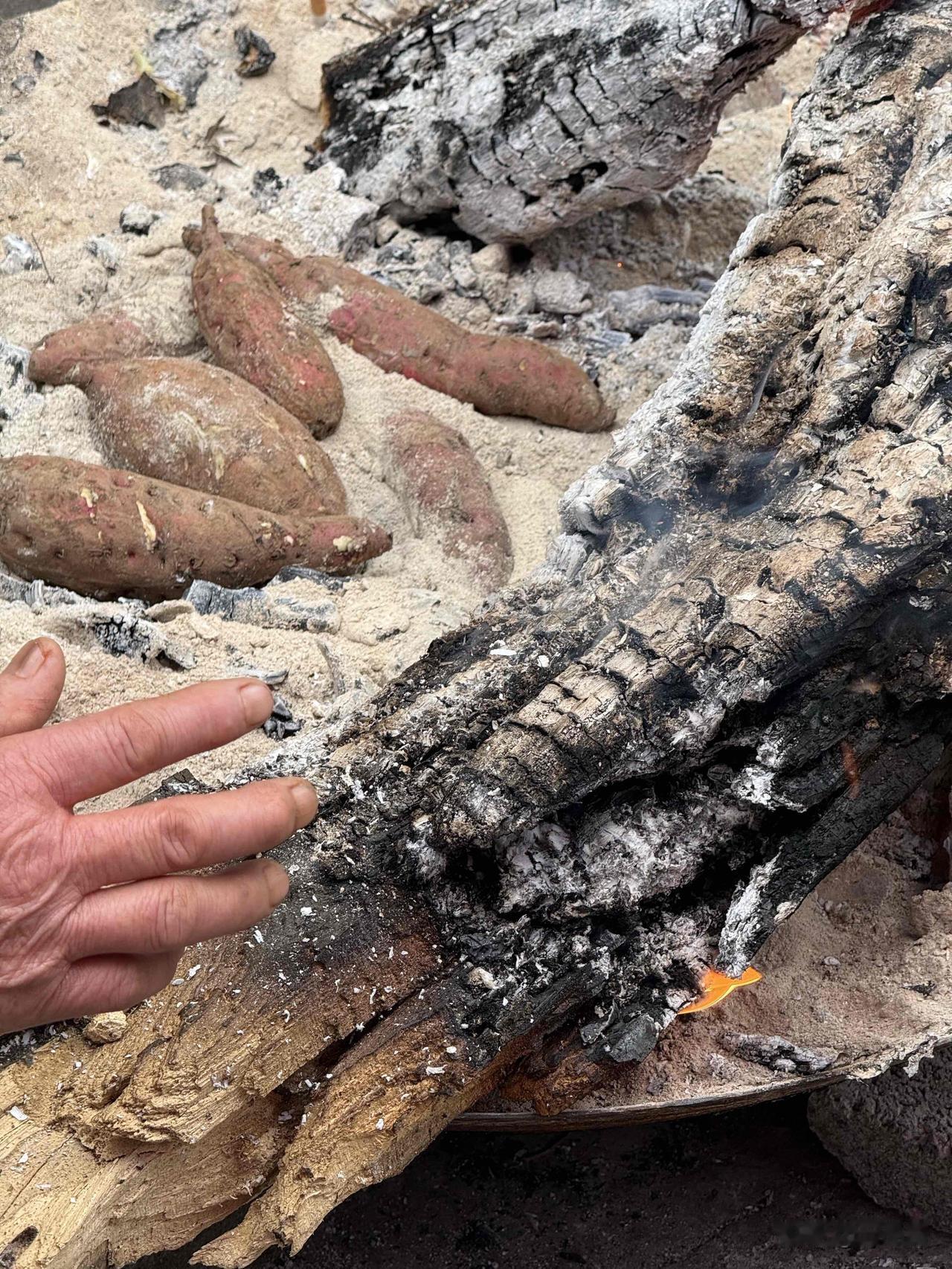 冬天，寒冷的天气，最甜香四溢的就是烤山药了。