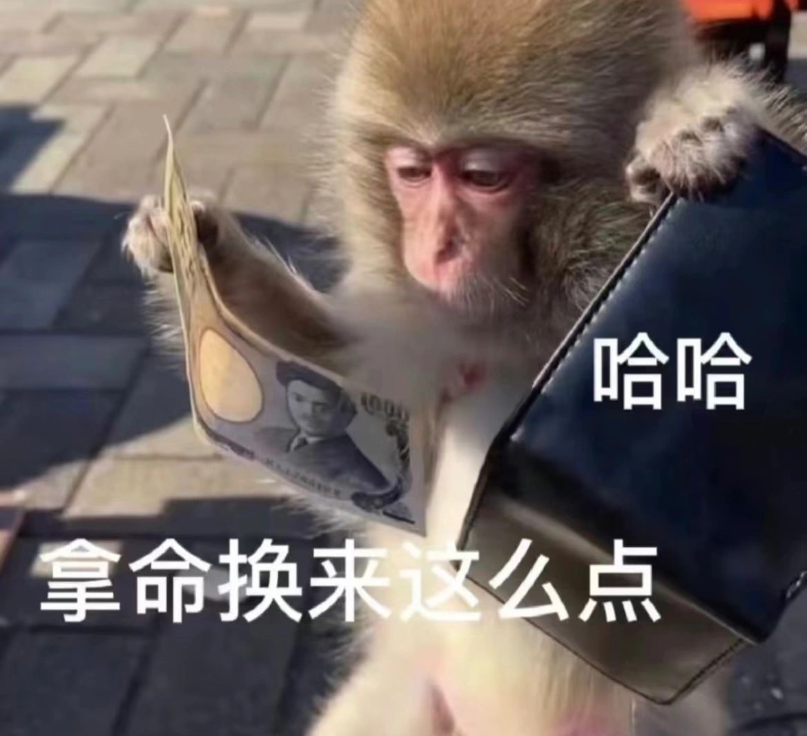 打工马喽的精神状态跟我一样🙉 ​​​