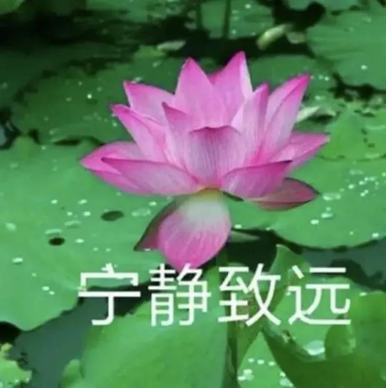 有些人，退休后，觉得这下子可解放了，又想学这，又想学那，都不知道干啥好了。
是的