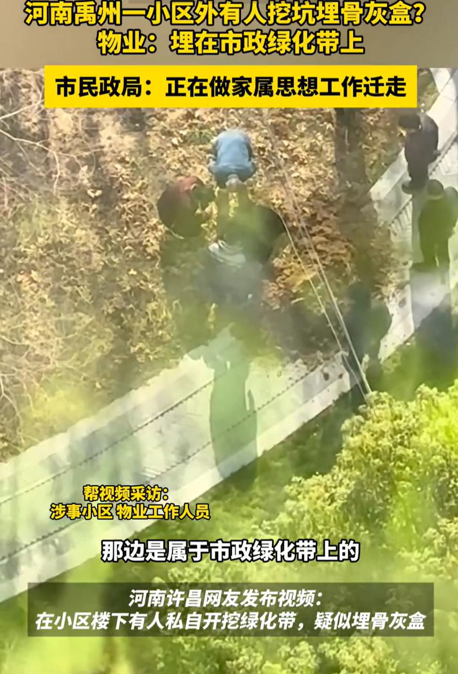 河南禹州，一位业主在家里望风时，突然看到楼下有人在挖土坑，本来想看个热闹，结果越