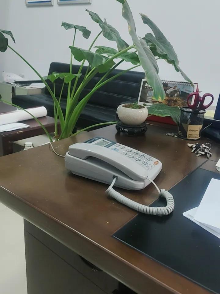 有没有人告诉我你们都值班了吗？大年25还有人不上班吗？为什么大家都可以开开心心的