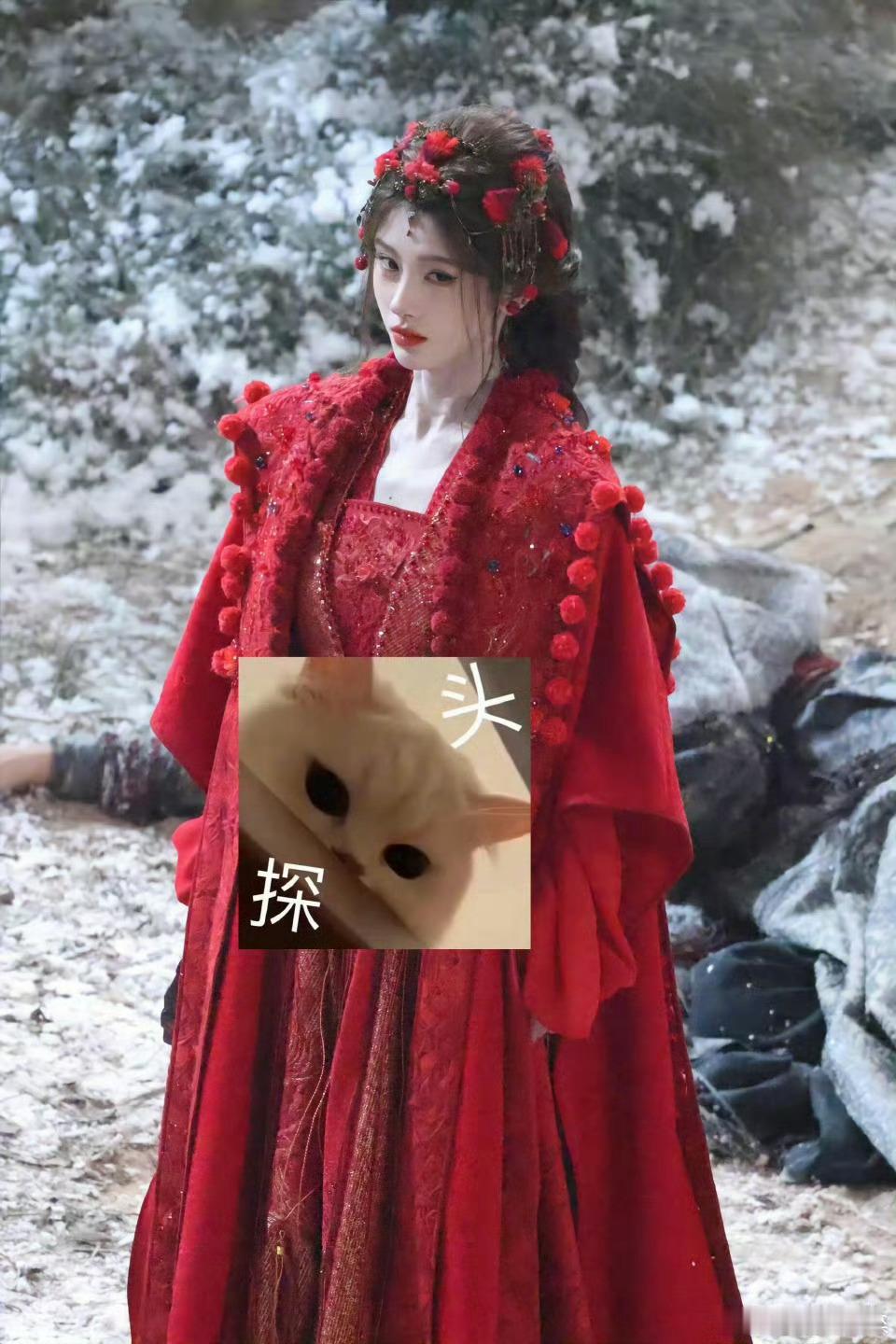 鞠婧祎月鳞绮纪地珠恶女感路透小鞠这个造型就让人很想rua一rua那个球感觉不仅吸