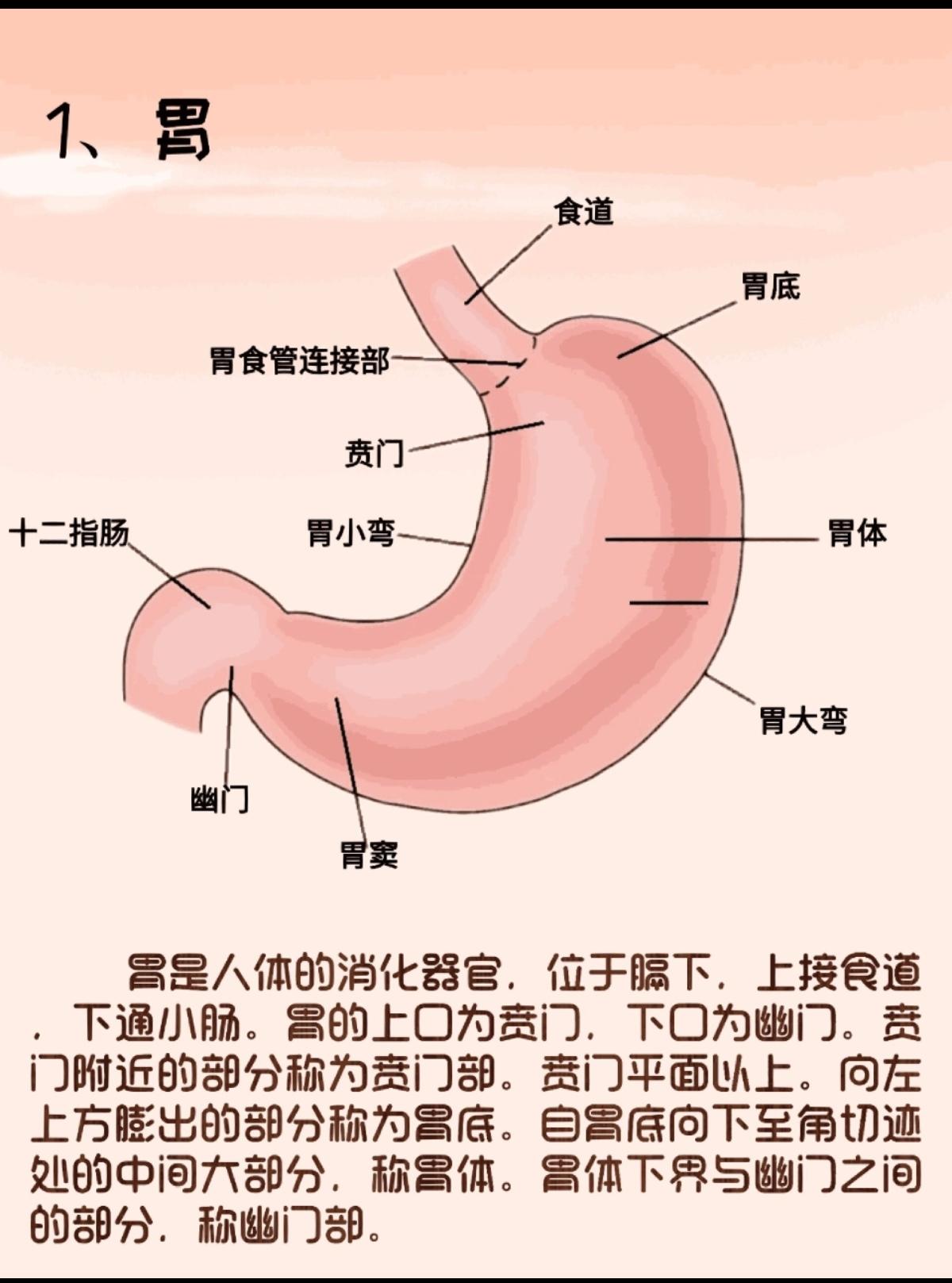 昨天做了肠胃镜检查，我以前有反流性食管炎、胃糜烂、萎缩胃炎胃炎等胃病，做完后诊断