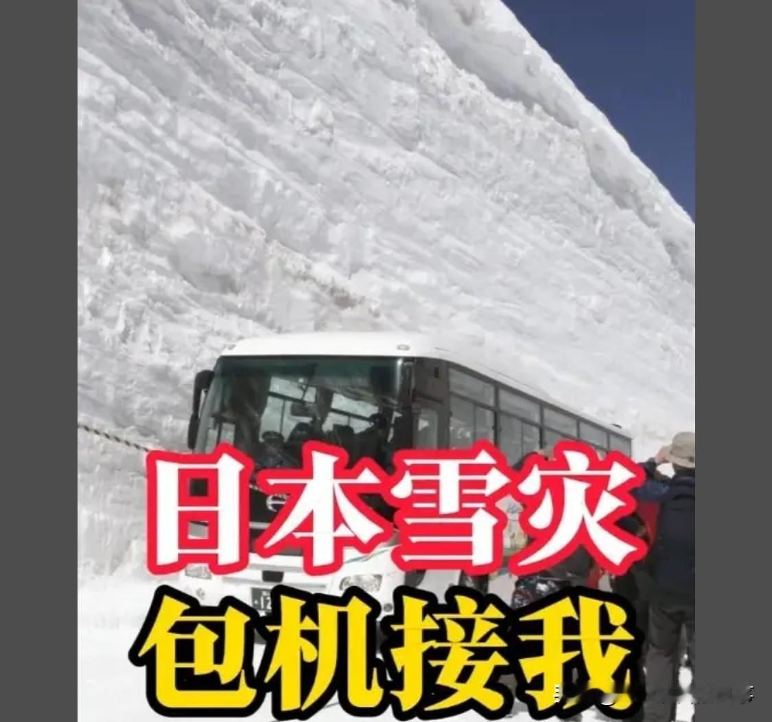 国家都说了不要去不要去，曾仕强教授也说不要到处跑不要去人多的地方[看]不听劝
