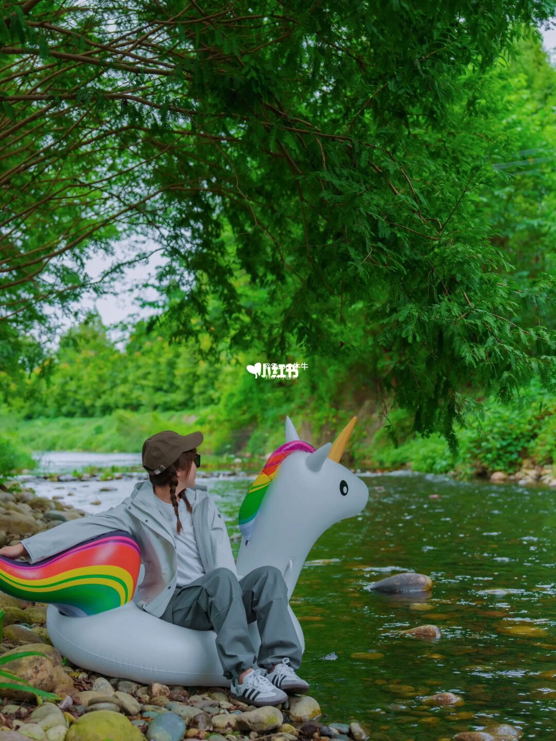 太可了❗️成都周边游·🌲小森林溪水边露营