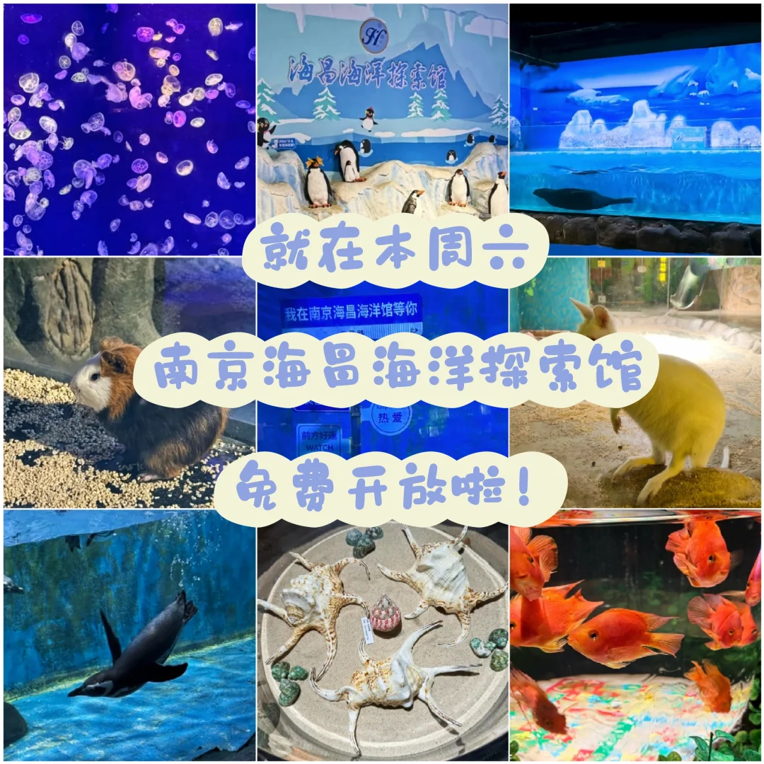 11.23南京海昌海洋探索馆免费开放啦！