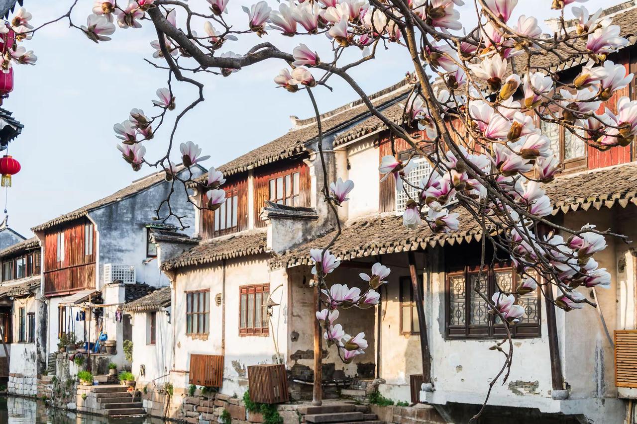 周庄。周庄