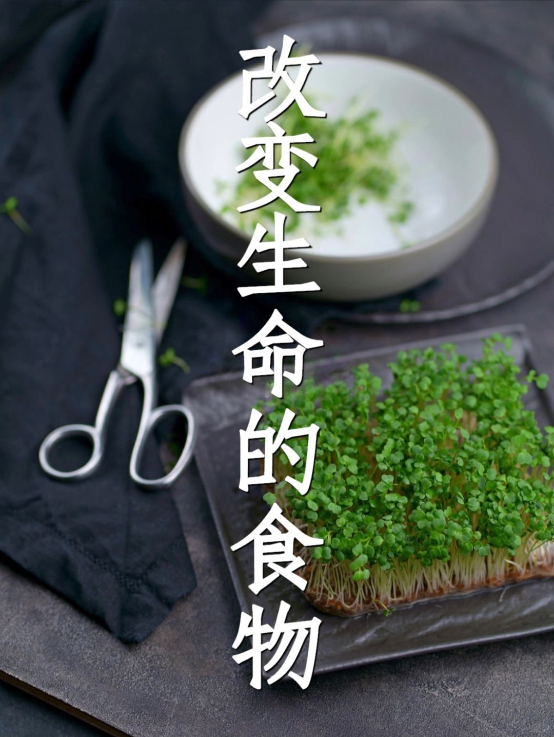 春天多吃芽菜，恢复身体活力