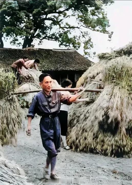 主席时代好不好，请看下面的照片：这是70年代的秋收季节，浙江省黄岩县的县委书记吕