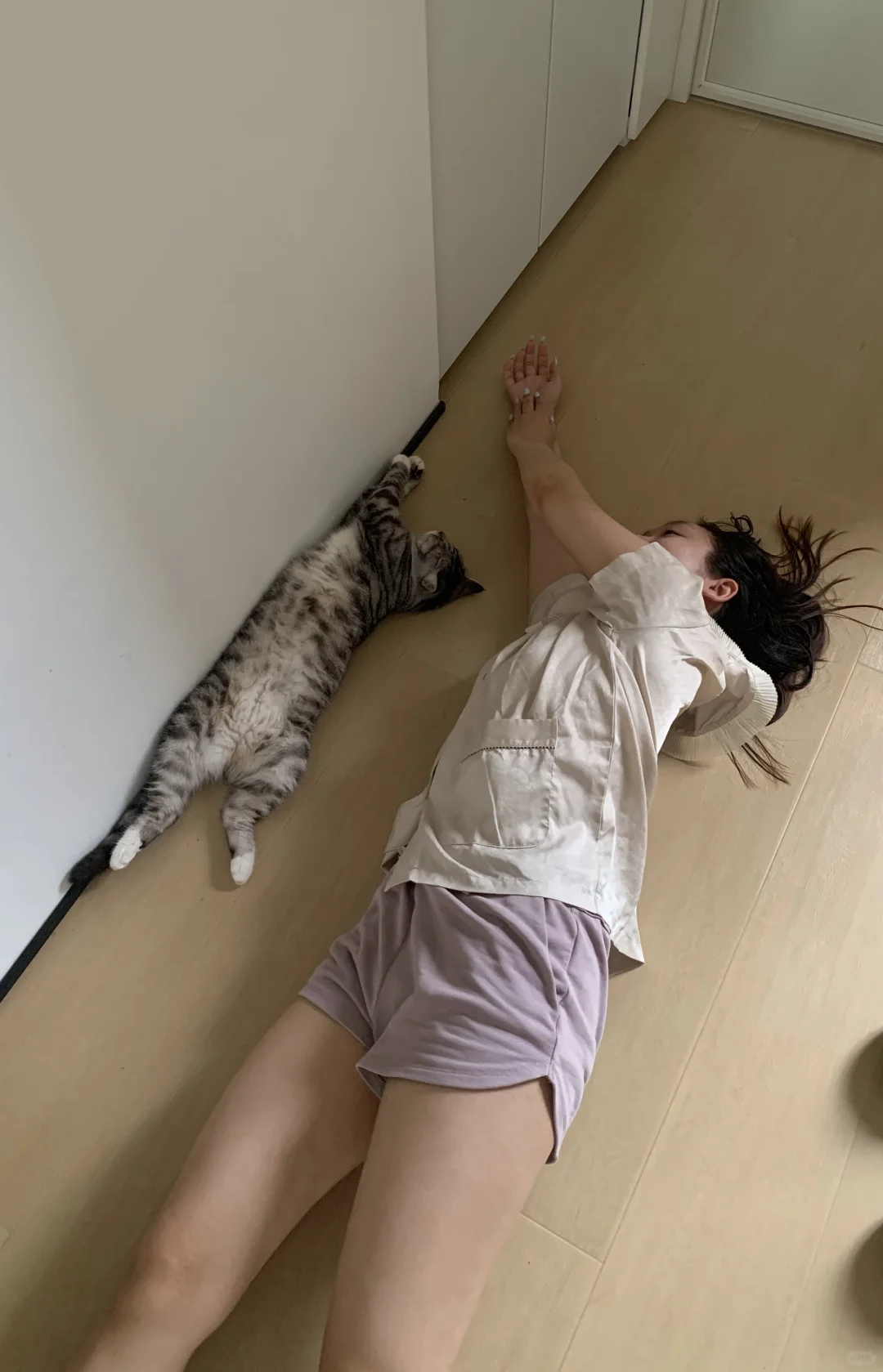 夏天的精髓是和小猫一起睡成猫条