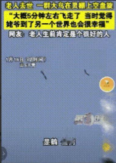 “解释不清了！”

山东这位 91 岁老人出殡，灵棚上空飞来十多只仙鹤，这事太稀