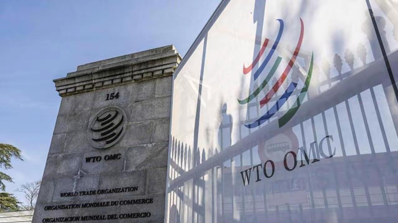 民进党当局真是丢人现眼！

世贸组织第14届部长级会议将于本月26至29号在喀麦