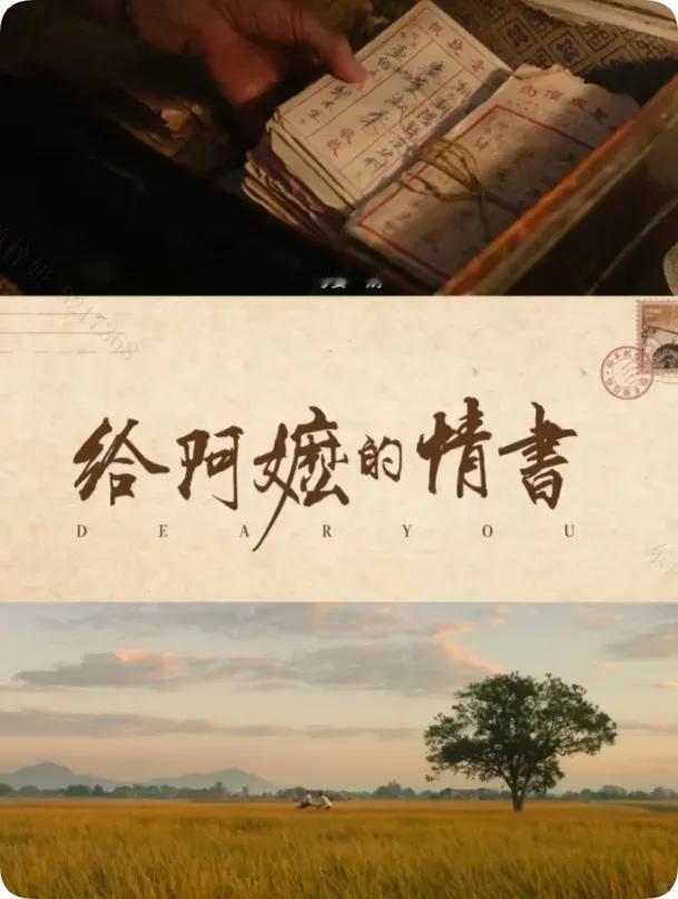 一个男人，两个女人，三代人的感情纠葛，成就今天十分畅销的情感热剧。

最近被一部