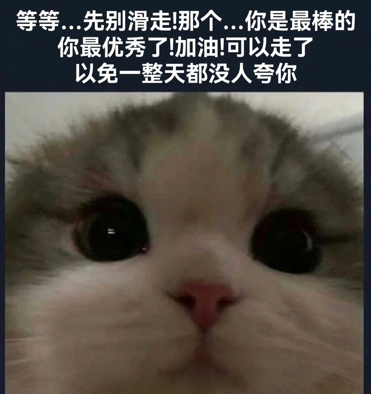 #meme##me_irl# ​​​