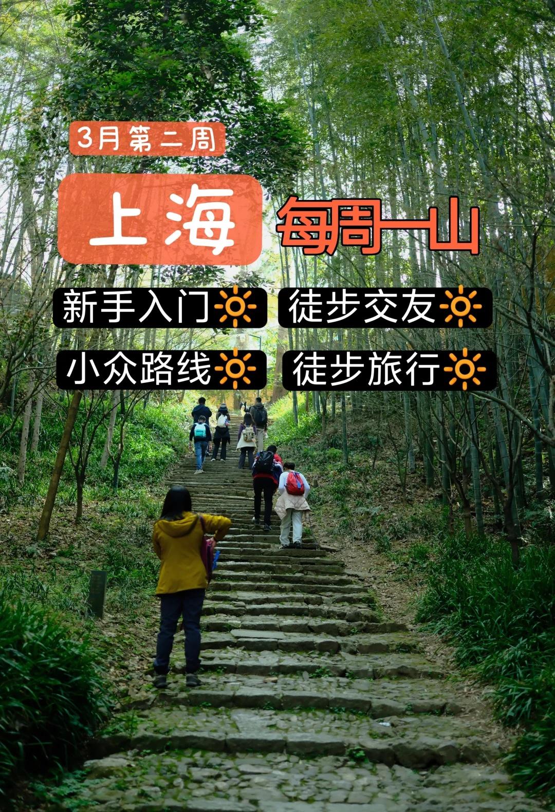 魔都2026三月徒步路线推荐第二季
🌲【周末出发！】上海近郊徒步小队召集
▫️