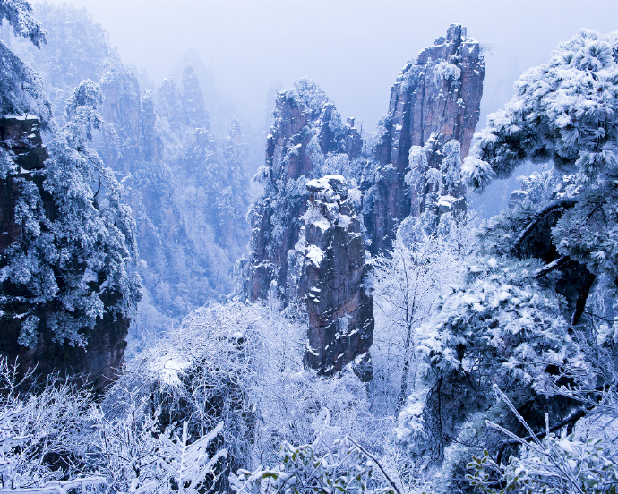 张家界的雾凇和雪景，与任何一个地方都不一样 旅游旅游[超话] ​​​