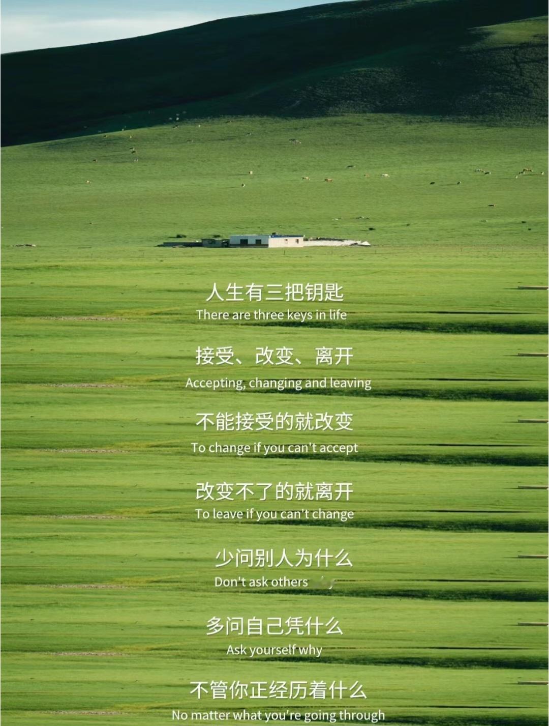 如果事与愿违 一定另有安排。 ​​​