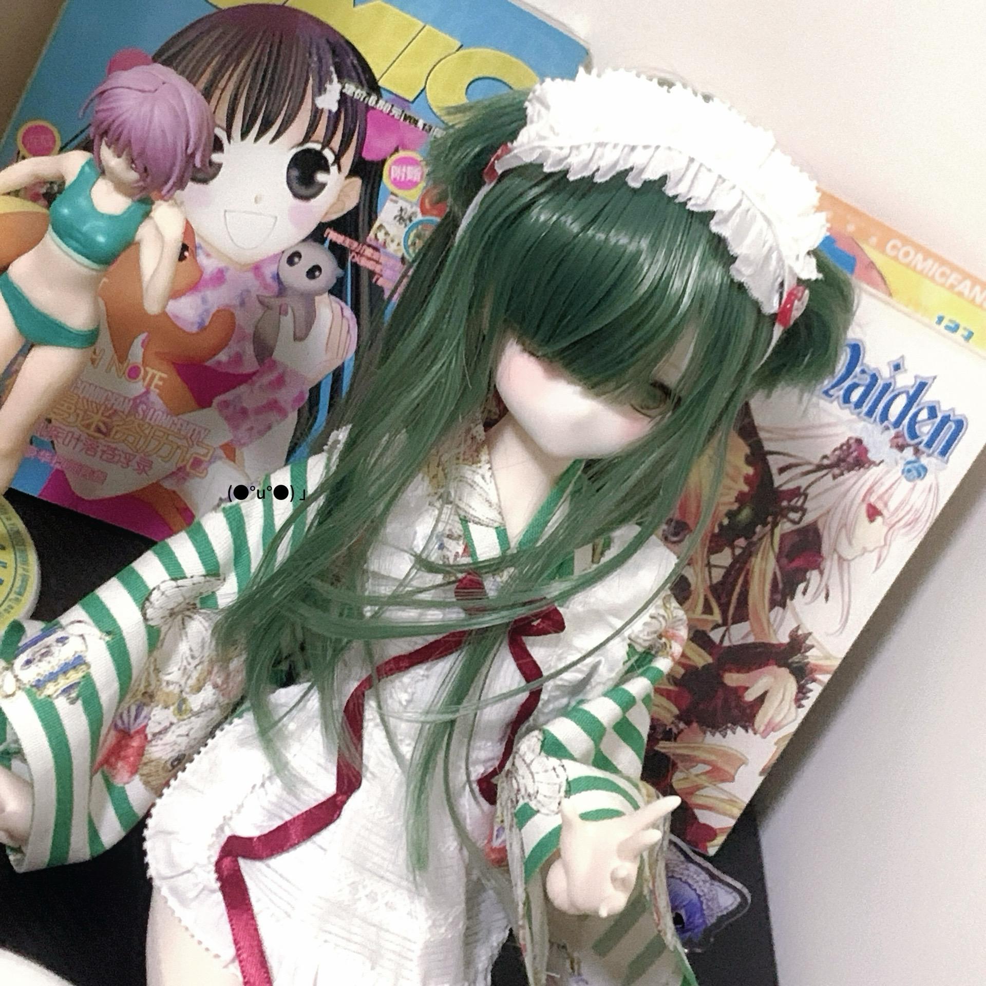 bjd bjd私养