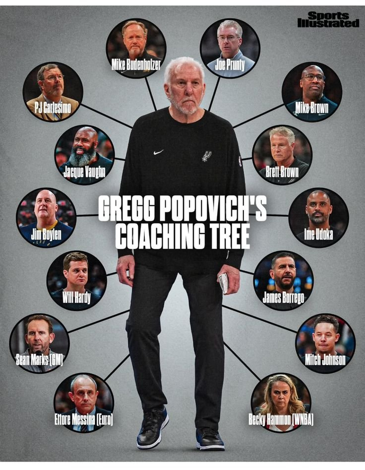 波波维奇的教练家族树，这也是篮球历史上top级别的了吧新赛季篮不住NBA